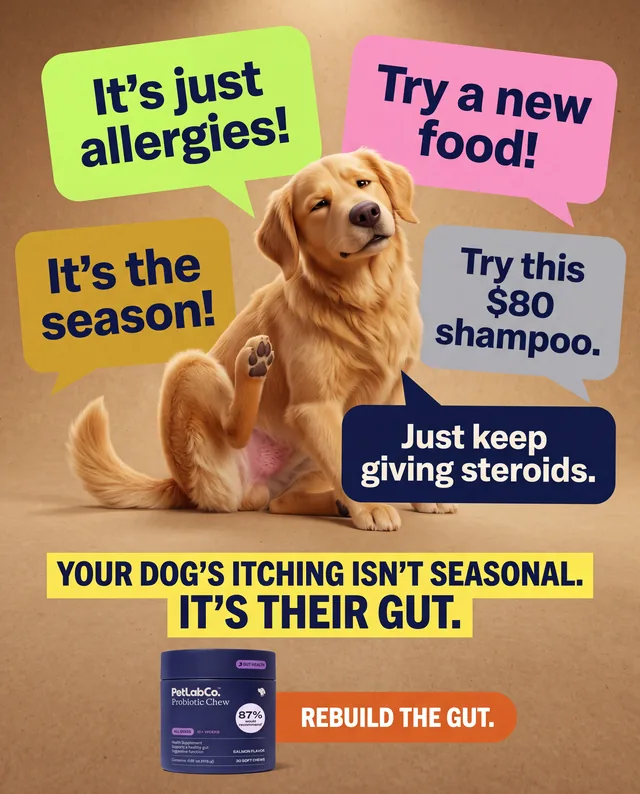 Dog probiotic ad with a golden retriever surrounded by excuse speech bubbles