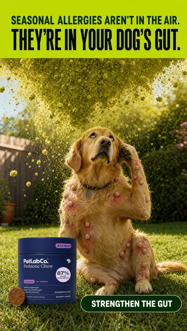Dog probiotic ad with a golden retriever covered in allergy bugs